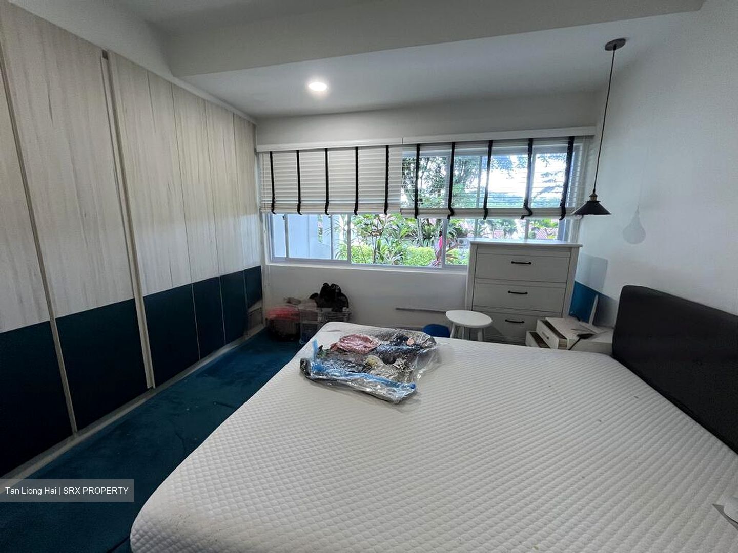 Clementi Park (D21), Condominium #584489051